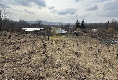 Casă cu 2 camere cu Teren 1191 Mp în Canta - 4