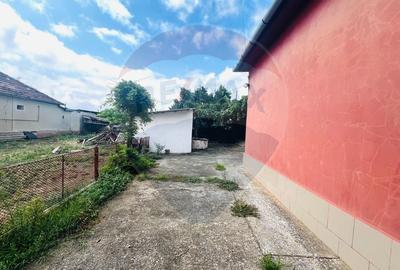 Casă individuală cu 4 camere cu Teren 1672 Mp în Horia - 4