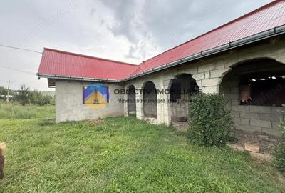 Casa de vanzare - GHINDAOANI - 20