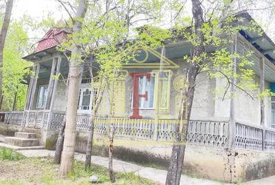 Teren Construcții intravilan de 3200 mp, în Rusenii Vechi - 7