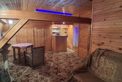 Proprietar vând casă cu grădină două apartamente, Mehala  suprafată totală 739 m - 10