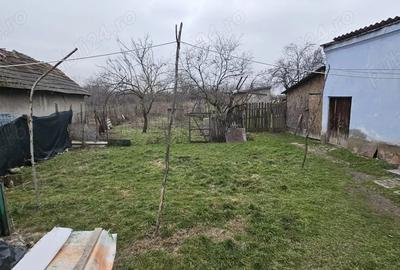 Casă cu 3 camere cu Teren 1900 Mp în Piatra - 2