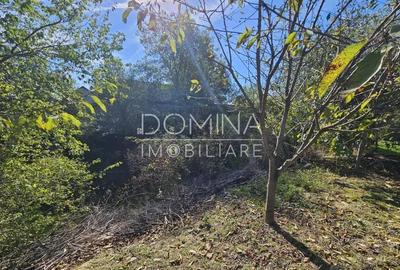 Vanzare teren *intravilan 308 mp cu utilita?i* - Sat Ceauru, Comuna Bale?ti - 3