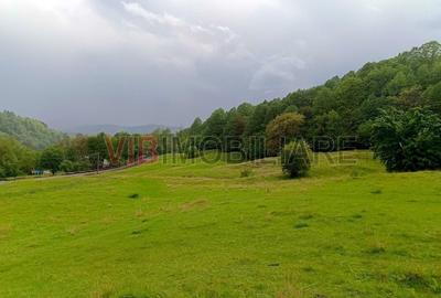 Teren de poveste in inima Brezei, zona Nistoresti - 2