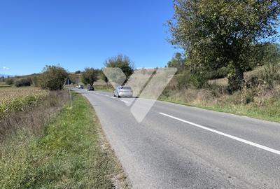 Teren intravilan cu PUZ aprobat 1300 mp - 17 km de Sibiu - 1