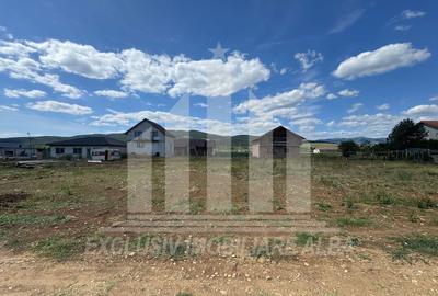 Teren Construcții intravilan de 440 mp, în Micești - 2