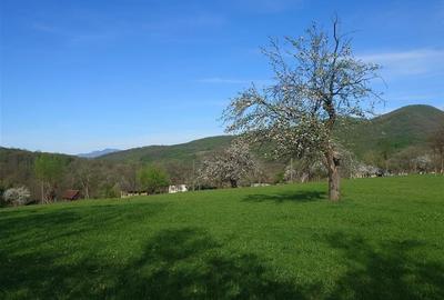 Teren Intravilan  in Luncoiu de Jos, Jd Hunedoara - 5