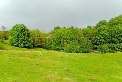 Teren intravilan de 1946 mp, în Nord-Vest - 1