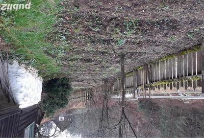 Casă cu 3 camere cu Teren 4900 Mp în Central - 9