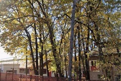 Spațiu comercial, în Gura Ocniței - 3