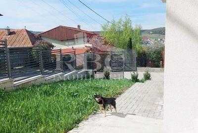 Case noi cu teren in Chinteni - 3