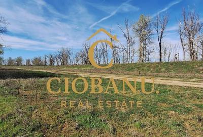 Casă cu 3 camere cu Teren 500 Mp în Bucovăț - 9