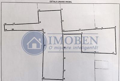Brestei-strada principala-casa veche-teren 800mp-investit... - 12