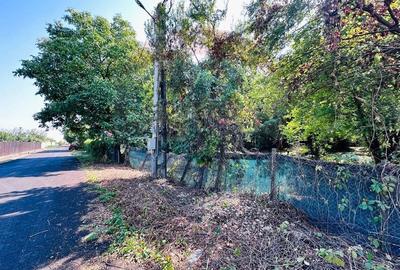 Teren intravilan 1500mp in Livedea, Ialomita - 15