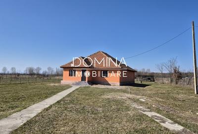 Casă individuală cu 3 camere cu Teren 8658 Mp în Scoarța - 2