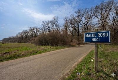 Teren Construcții intravilan de 3876 mp, în Balta Neagră - 1