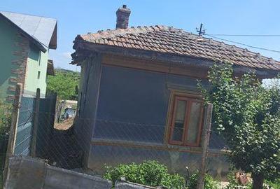 Casă cu 3 camere cu Teren 2000 Mp în Hotarele - 6