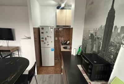 Garsoniera de inchiriat Timpuri noi - Tineretului - 5