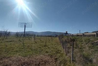 Teren de 12300 mp, în Crainimăt - 3