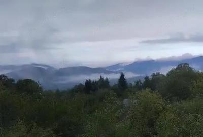 Teren de 17000 mp, în Nucșoara - 1