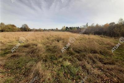 Teren intravilan de vanzare in Avrig zona Valea Avrigului - 2