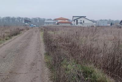Teren Corbeanca- Strada Trei Lacuri - 16
