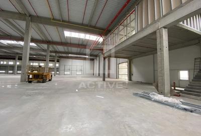 Depozit  NOU -5 cai  acces- autorizatie ISU - 3