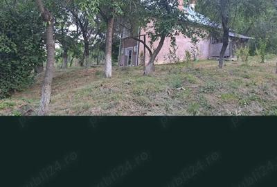 Casă cu Teren 1600 Mp în Ștefănești - 2