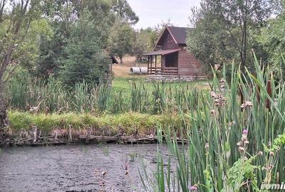 Casă cu 6 camere cu Teren 2700 Mp în Bradu - 10