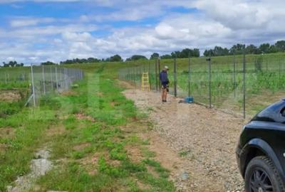 Teren de 2400 mp, în Careiului