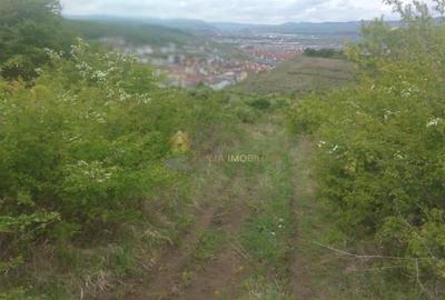 Teren extravilan 3640 mp Strada Stejarului - 3