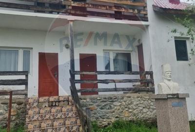 Hotel/Pensiune, de 1,650 mp, în Baia de Fier - 11