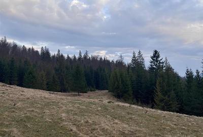 Teren intravilan de 1000 mp, în Văleni-Stânișoara