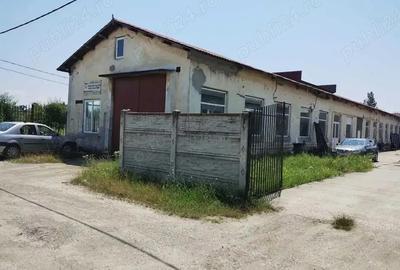 Hala Modernizata - Vanzare sau Inchiriere Zona Zanzibar - Piscina RGL, Filia?i - 2