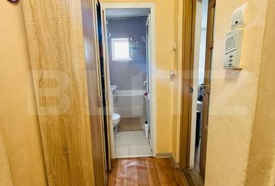 Apartament cu 2 camere decomandat, mobilat în Ștefan cel Mare - 10