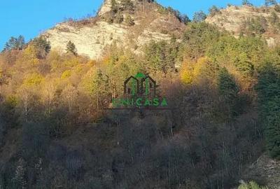 Bloc de apartamente - Brezoi - 3