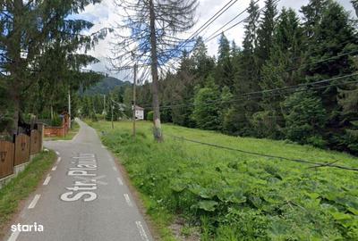 Teren de 2000 mp, în Ceahlău - 2