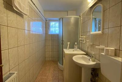 Garsonieră decomandată în Craiovița Nouă - 7