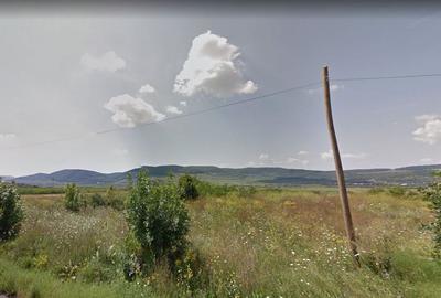 Teren de 1600 mp, în Șieu - 1