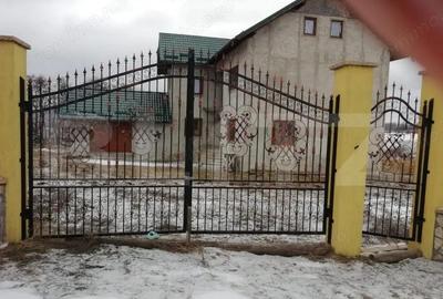 Casă cu 5 camere cu Teren 2500 Mp în Central - 3