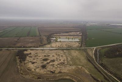 Teren extravilan in Ineu - 5