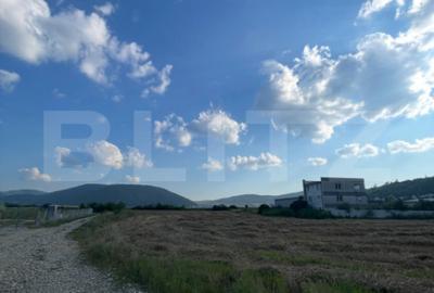 Teren de 5600 mp, în Industrială - 1