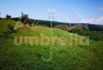 Teren de vanzare intravilan in Cluj-Napoca, Strada Soporului 1.500/?/41 /? - 1