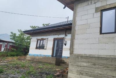 Casă individuală cu 4 camere cu Teren 27000 Mp în Epureni (Duda-Epureni) - 6