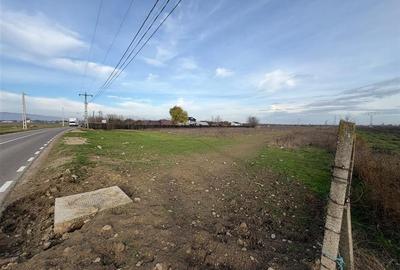 Teren intravilan + extravilan de vanzare in Campineanca str Hotarului - 2