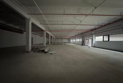 Spatii depozitare, restaurant, birouri, de la 400mp la 1600mp, zona C. Felicia - 2