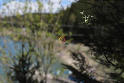 Terenuri speciale Padina Busteni, sunt dispuse ca o veritabila coroana in jurul - 3