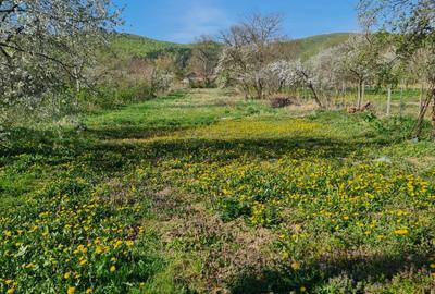 Casă cu 4 camere cu Teren 1869 Mp în Măgureni - 4