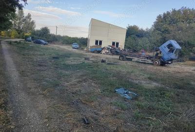 Casa cu teren 2200 mp si hala noua de 154 mp in localitatea Bodrogu Nou la 10 km de Arad - 7