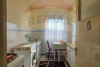 Apartament doua camere Gura Campului Medias - 2